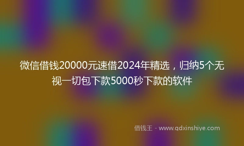 微信借钱20000元速借2024年精选，归纳5个无视一切包下款5000秒下款的软件