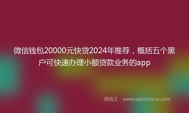 微信钱包20000元快贷2024年推荐，概括五个黑户可快速办理小额贷款业务的app