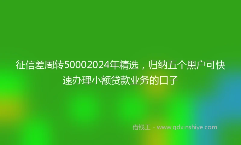 征信差周转50002024年精选，归纳五个黑户可快速办理小额贷款业务的口子