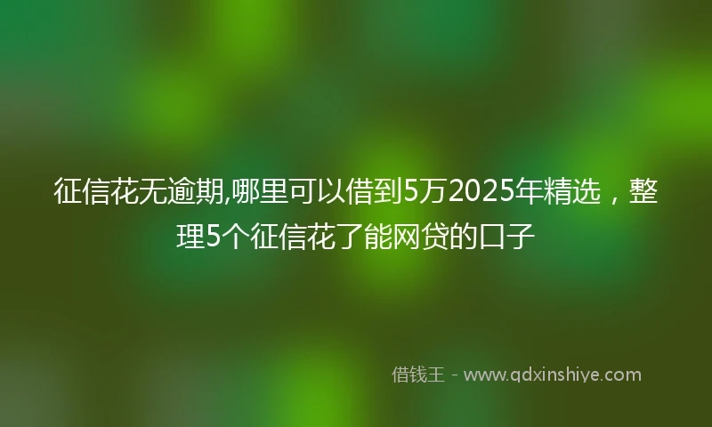征信花无逾期,哪里可以借到5万2025年精选，整理5个征信花了能网贷的口子