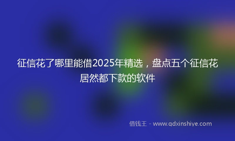 征信花了哪里能借2025年精选，盘点五个征信花居然都下款的软件