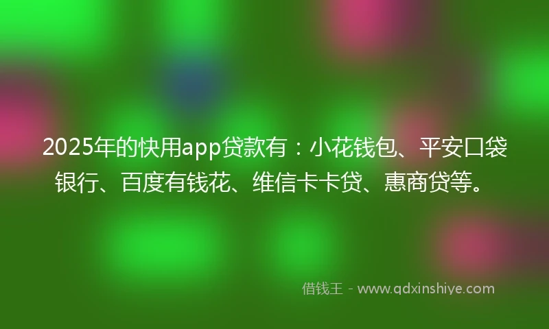 2025年的快用app贷款有：小花钱包、平安口袋银行、百度有钱花、维信卡卡贷、惠商贷等。