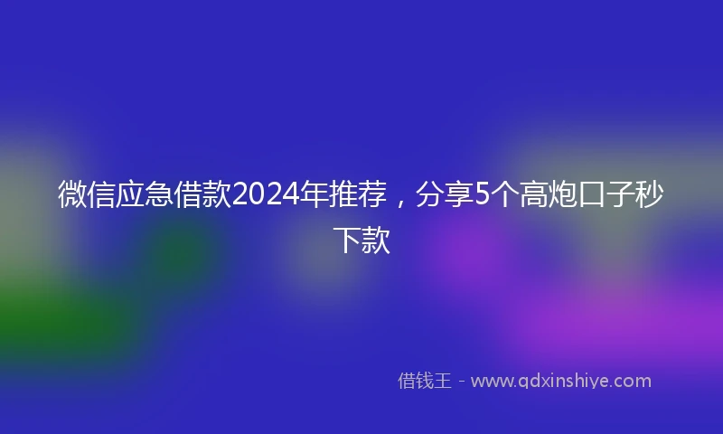 微信应急借款2024年推荐，分享5个高炮口子秒下款