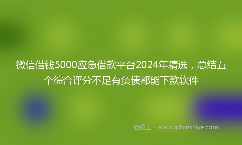 微信借钱5000应急借款平台2024年精选，总结五个综合评分不足有负债都能下款软件