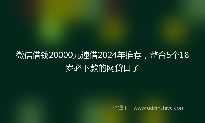 微信借钱20000元速借2024年推荐，整合5个18岁必下款的网贷口子
