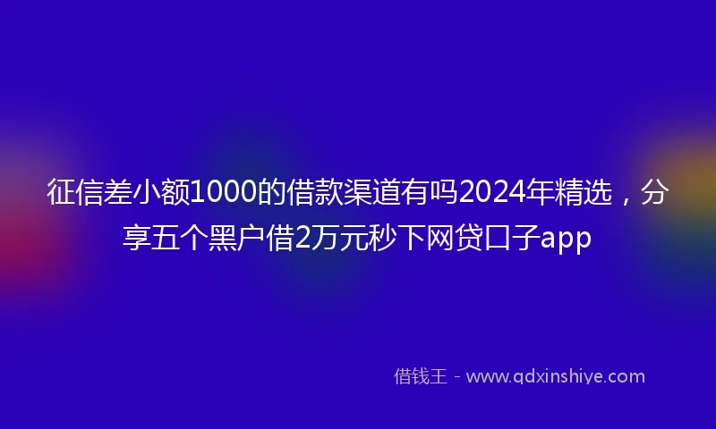 征信差小额1000的借款渠道有吗2024年精选，分享五个黑户借2万元秒下网贷口子app