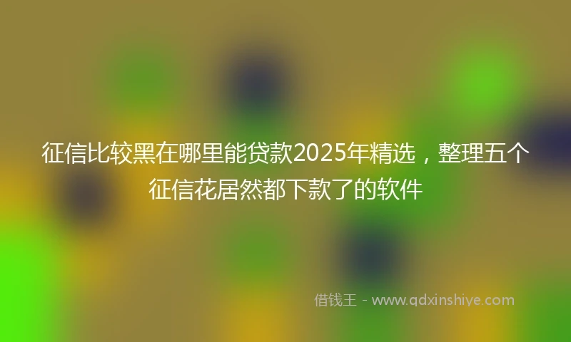 征信比较黑在哪里能贷款2025年精选，整理五个征信花居然都下款了的软件