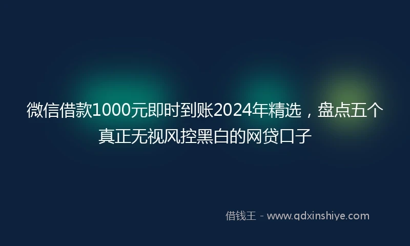 微信借款1000元即时到账2024年精选，盘点五个真正无视风控黑白的网贷口子