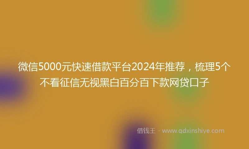 微信5000元快速借款平台2024年推荐，梳理5个不看征信无视黑白百分百下款网贷口子