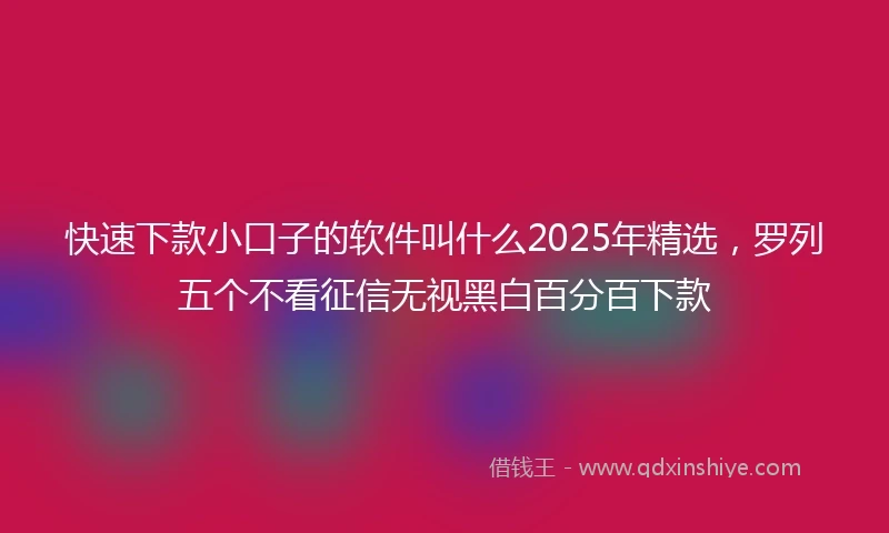 快速下款小口子的软件叫什么2025年精选，罗列五个不看征信无视黑白百分百下款