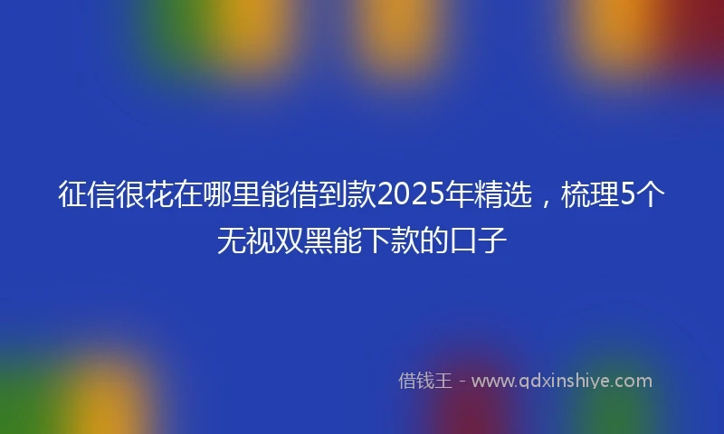 征信很花在哪里能借到款2025年精选，梳理5个无视双黑能下款的口子