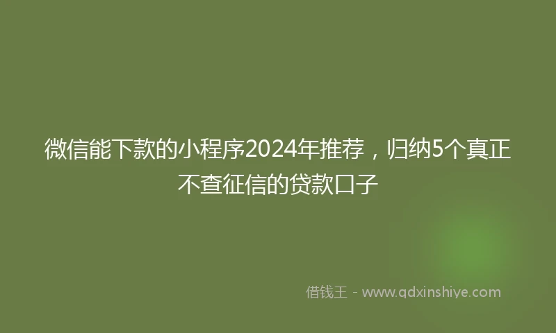 微信能下款的小程序2024年推荐，归纳5个真正不查征信的贷款口子