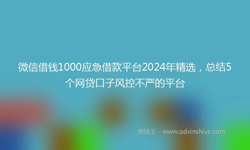 微信借钱1000应急借款平台2024年精选，总结5个网贷口子风控不严的平台