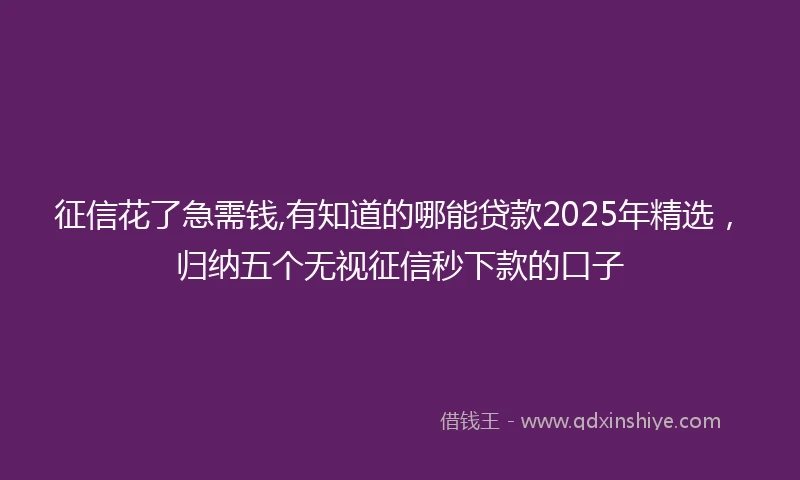 征信花了急需钱,有知道的哪能贷款2025年精选，归纳五个无视征信秒下款的口子
