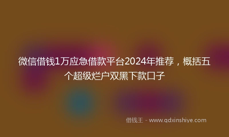 微信借钱1万应急借款平台2024年推荐，概括五个超级烂户双黑下款口子