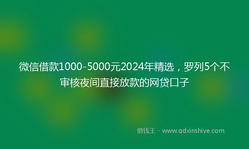 微信借款1000-5000元2024年精选，罗列5个不审核夜间直接放款的网贷口子
