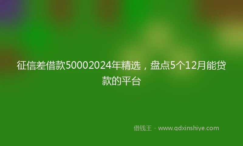 征信差借款50002024年精选，盘点5个12月能贷款的平台