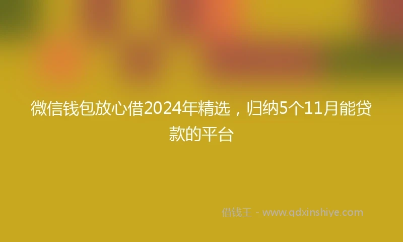 微信钱包放心借2024年精选，归纳5个11月能贷款的平台