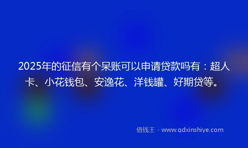 2025年的征信有个呆账可以申请贷款吗有：超人卡、小花钱包、安逸花、洋钱罐、好期贷等。