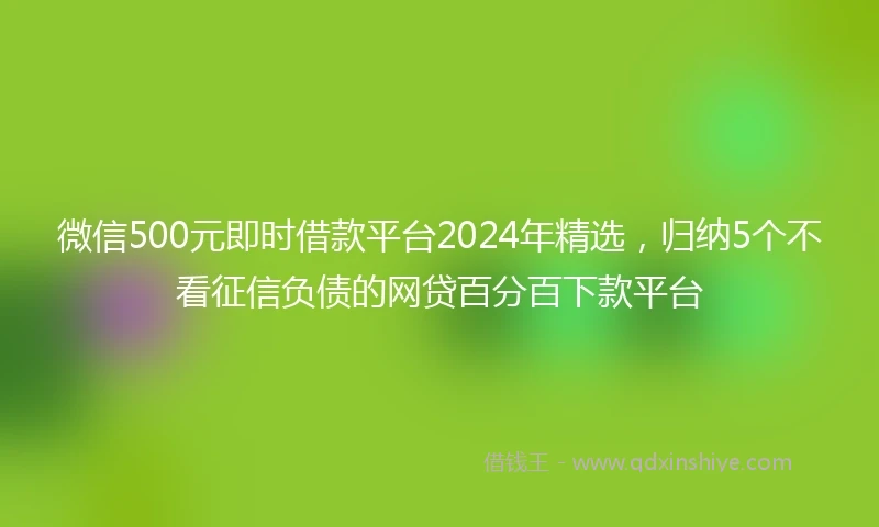微信500元即时借款平台2024年精选，归纳5个不看征信负债的网贷百分百下款平台