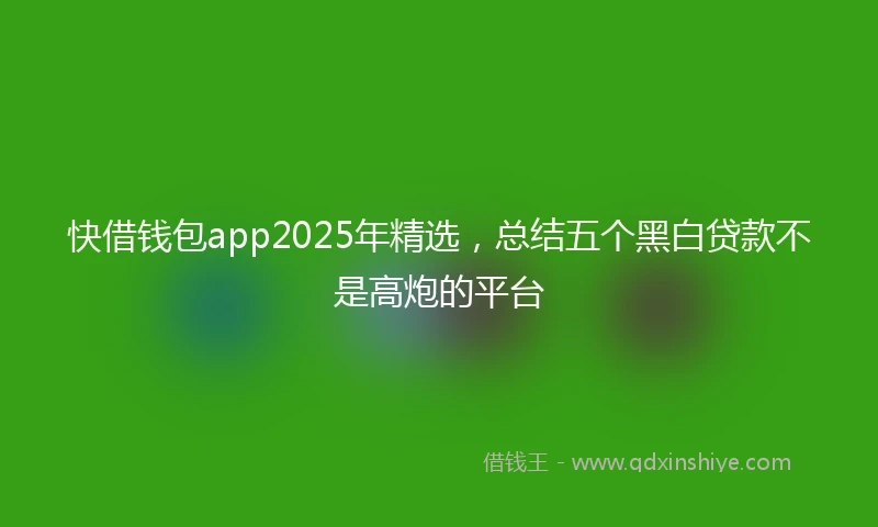 快借钱包app2025年精选，总结五个黑白贷款不是高炮的平台