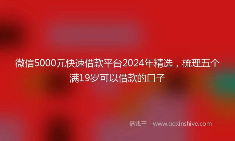 微信5000元快速借款平台2024年精选，梳理五个满19岁可以借款的口子