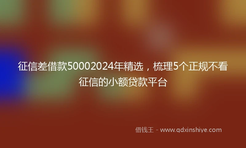 征信差借款50002024年精选，梳理5个正规不看征信的小额贷款平台