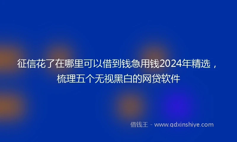 征信花了在哪里可以借到钱急用钱2024年精选，梳理五个无视黑白的网贷软件