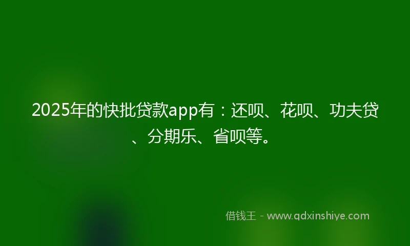 2025年的快批贷款app有：还呗、花呗、功夫贷、分期乐、省呗等。