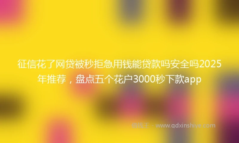 征信花了网贷被秒拒急用钱能贷款吗安全吗2025年推荐，盘点五个花户3000秒下款app