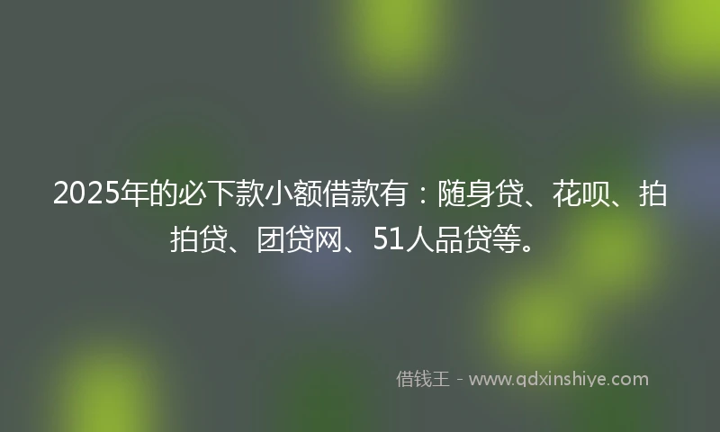 2025年的必下款小额借款有：随身贷、花呗、拍拍贷、团贷网、51人品贷等。