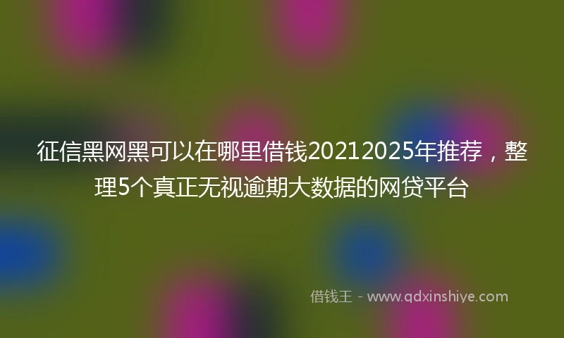 征信黑网黑可以在哪里借钱20212025年推荐，整理5个真正无视逾期大数据的网贷平台