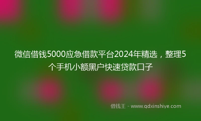 微信借钱5000应急借款平台2024年精选，整理5个手机小额黑户快速贷款口子