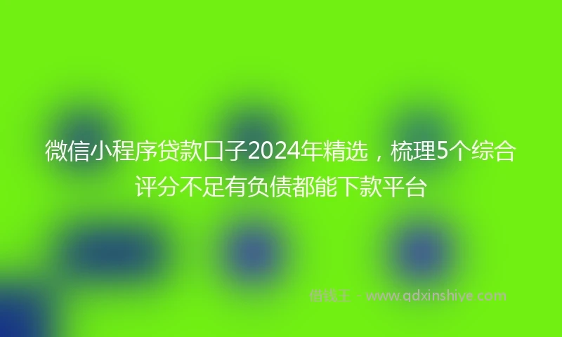 微信小程序贷款口子2024年精选，梳理5个综合评分不足有负债都能下款平台