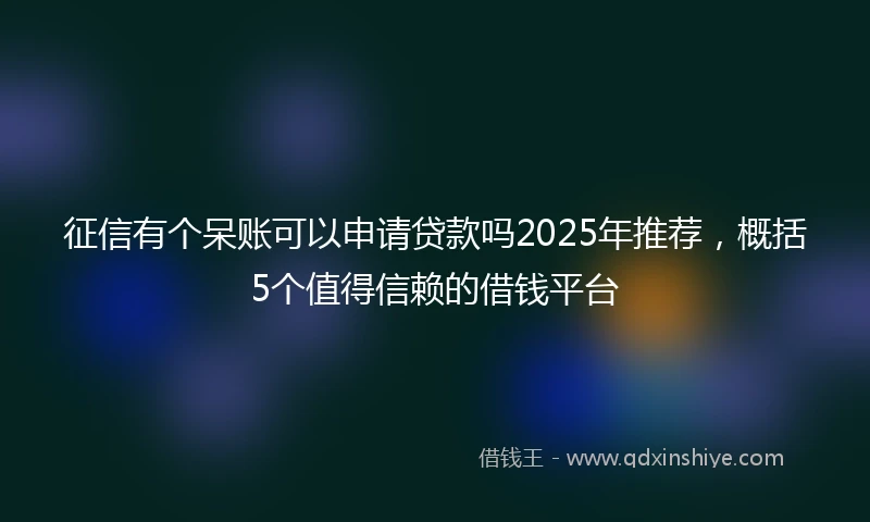 征信有个呆账可以申请贷款吗2025年推荐，概括5个值得信赖的借钱平台
