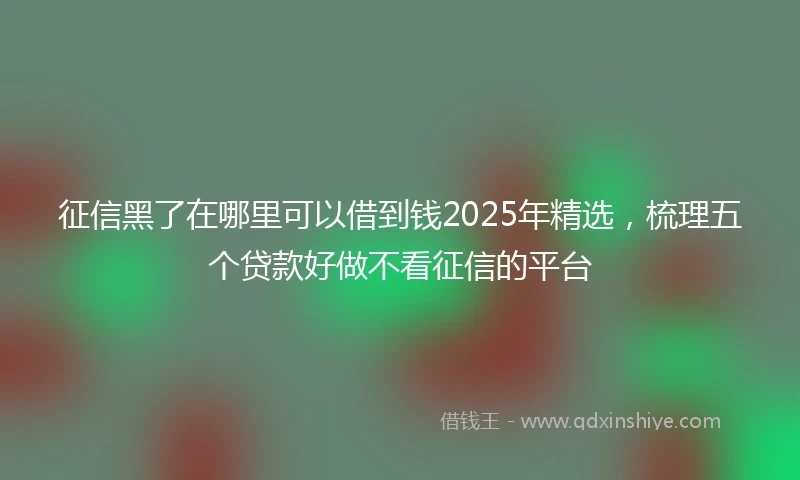 征信黑了在哪里可以借到钱2025年精选，梳理五个贷款好做不看征信的平台