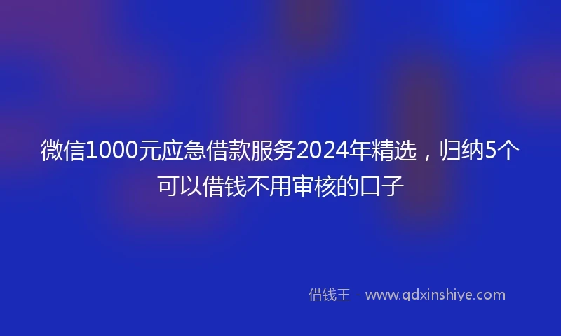 微信1000元应急借款服务2024年精选，归纳5个可以借钱不用审核的口子