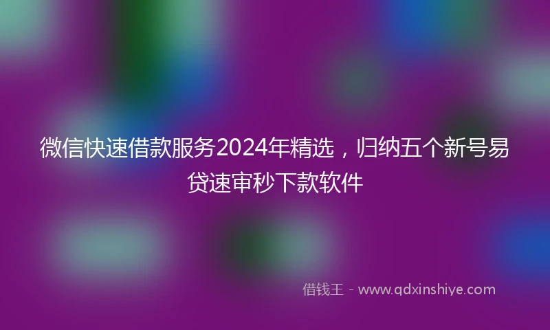 微信快速借款服务2024年精选,归纳五个新号易贷速审秒下款软件