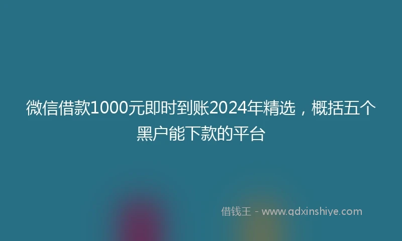微信借款1000元即时到账2024年精选，概括五个黑户能下款的平台
