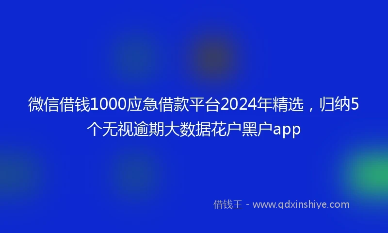 微信借钱1000应急借款平台2024年精选，归纳5个无视逾期大数据花户黑户app