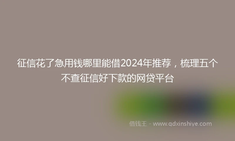 征信花了急用钱哪里能借2024年推荐，梳理五个不查征信好下款的网贷平台