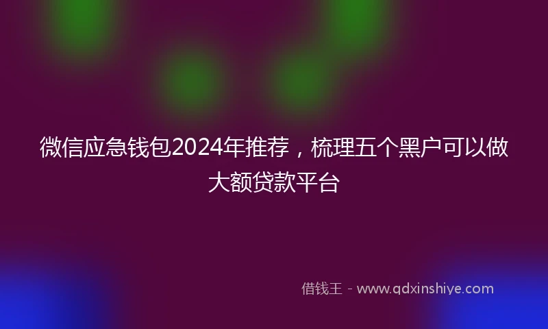 微信应急钱包2024年推荐,梳理五个黑户可以做大额贷款平台