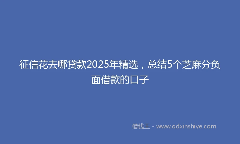 征信花去哪贷款2025年精选，总结5个芝麻分负面借款的口子