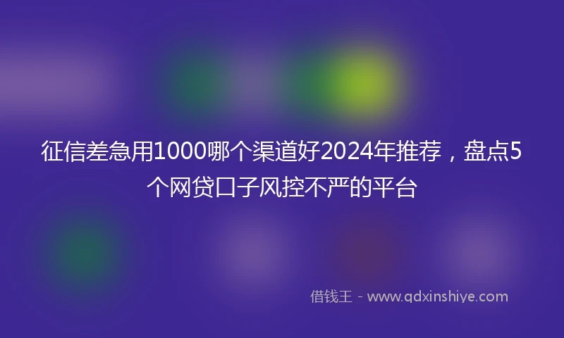 征信差急用1000哪个渠道好2024年推荐，盘点5个网贷口子风控不严的平台