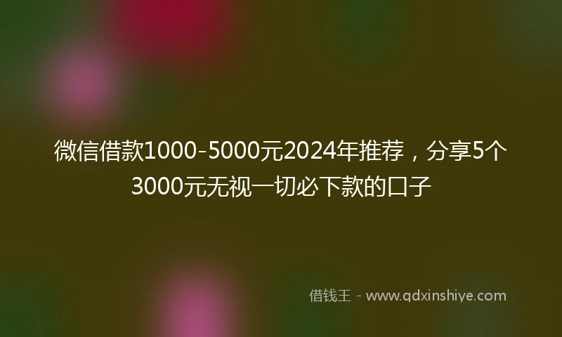 微信借款1000-5000元2024年推荐，分享5个3000元无视一切必下款的口子