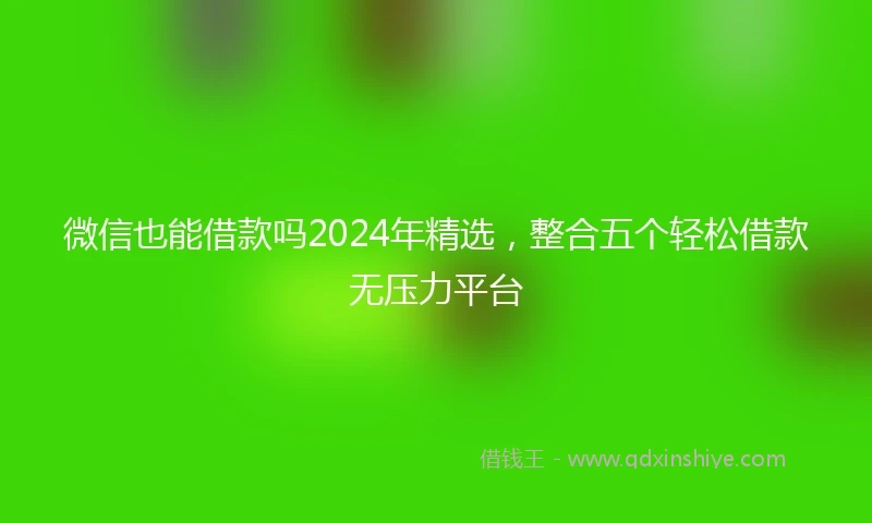 微信也能借款吗2024年精选，整合五个轻松借款无压力平台