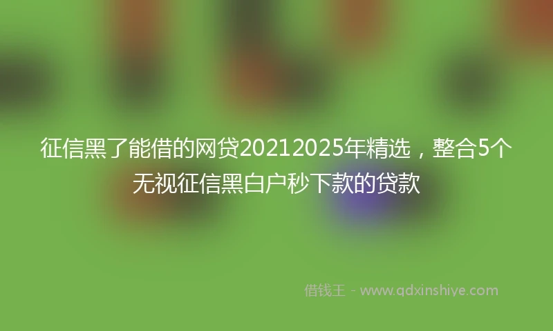 征信黑了能借的网贷20212025年精选，整合5个无视征信黑白户秒下款的贷款