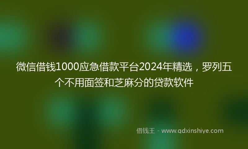 微信借钱1000应急借款平台2024年精选，罗列五个不用面签和芝麻分的贷款软件