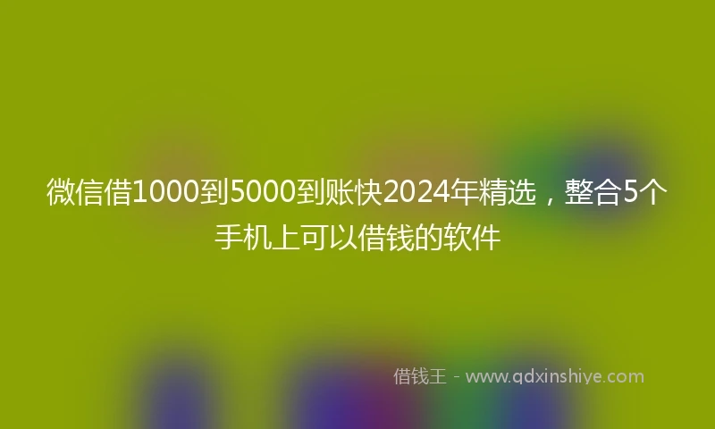 微信借1000到5000到账快2024年精选，整合5个手机上可以借钱的软件