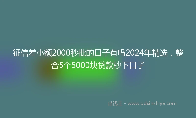 征信差小额2000秒批的口子有吗2024年精选，整合5个5000块贷款秒下口子